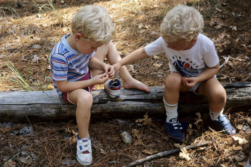 4462     RTW 3 Nov 1990 - Bastrop State Park, Texas