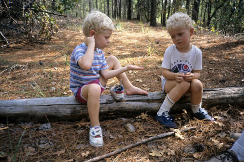 4463 hr RTW 3 Nov 1990 - Bastrop State Park, Texas