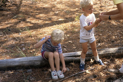 4464     RTW 3 Nov 1990 - Bastrop State Park, Texas