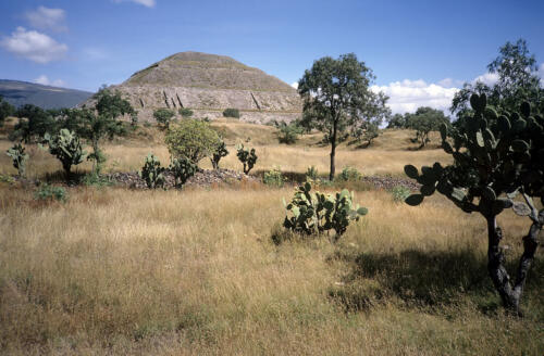 4471     RTW 8 Nov 1990 - Teotihuacan, Mexico
