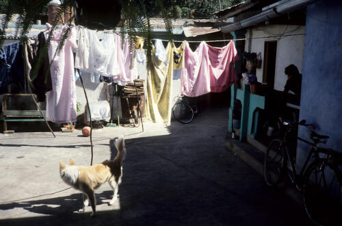 4558     RTW 19-23 Nov 1990 - Antigua, Guatemala
