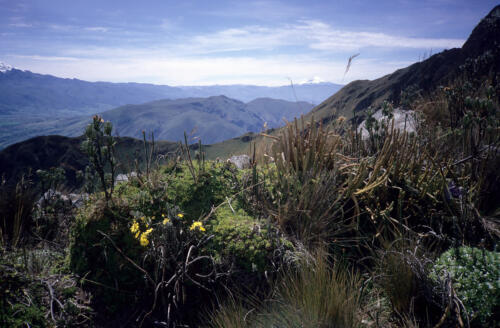 4602 hr RTW 9-11 Dec 1990 La Esperanza - Ecuador