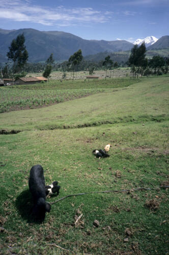 4606 hr RTW 9-11 Dec 1990 La Esperanza - Ecuador