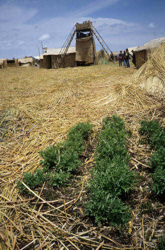 4709 hr RTW 4-5 Jan 1991 Puno and the Uros Islands Peru