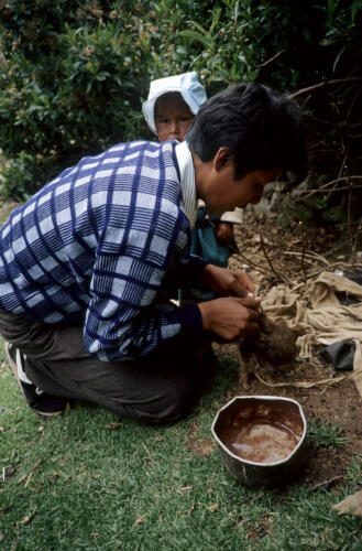 4721 hr RTW 6-8 Jan 1991 Isla Amantaní Titicaca Peru