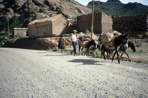 4778 hr RTW 19-20 Jan 1991 Betanzos Bolivia