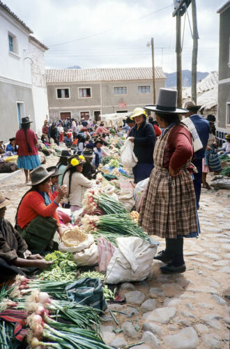 4788 hr RTW 19-20 Jan 1991 Betanzos Bolivia