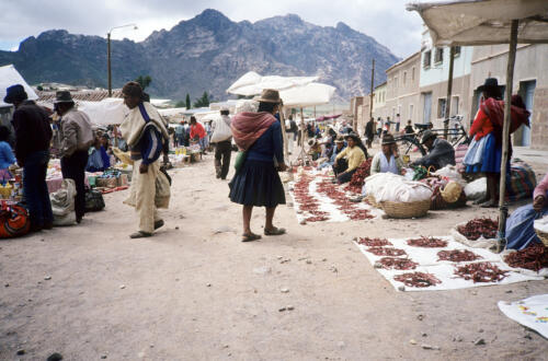 4791 hr RTW 19-20 Jan 1991 Betanzos Bolivia