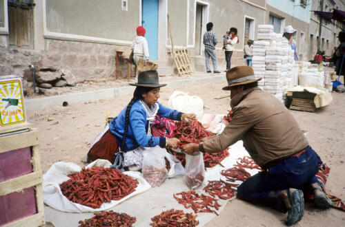 4792 hr RTW 19-20 Jan 1991 Betanzos Bolivia