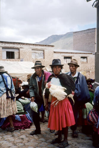 4798 hr RTW 19-20 Jan 1991 Betanzos Bolivia