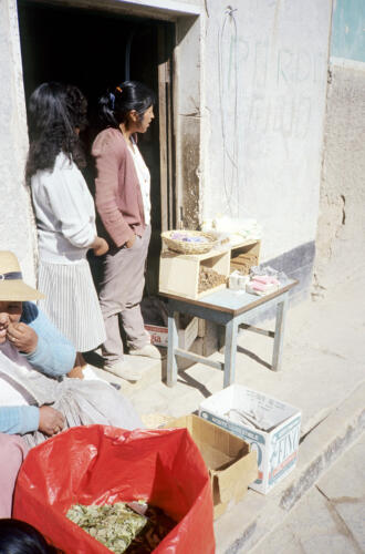 4807 hr RTW 21-22 Jan 1991 Potosí Bolivia
