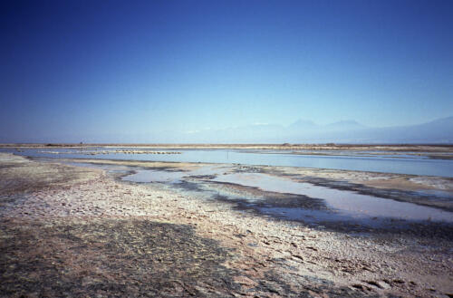 4838 hr RTW 25-27 Jan 1991 San Pedro de Atacama Chile