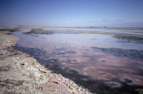 4839 hr RTW 25-27 Jan 1991 San Pedro de Atacama Chile
