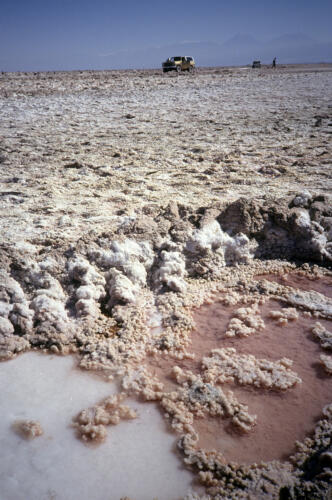 4842 hr RTW 25-27 Jan 1991 San Pedro de Atacama Chile