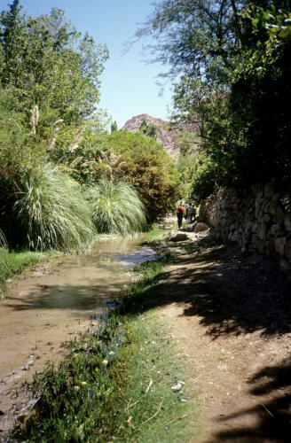 4846 hr RTW 25-27 Jan 1991 San Pedro de Atacama Chile