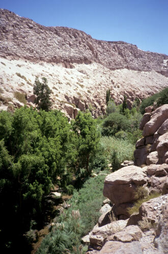4847 hr RTW 25-27 Jan 1991 San Pedro de Atacama Chile