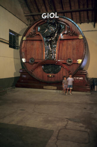 4875 hr RTW 1-2 Feb 1991 Mendoza Argentina