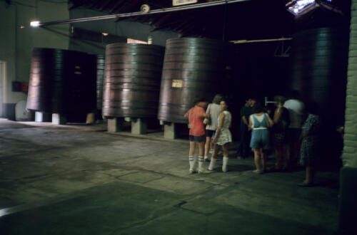 4876 hr RTW 1-2 Feb 1991 Mendoza Argentina