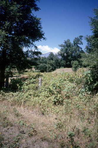 4903 hr RTW 3-5 Feb 1991 Villarica  Pucón Chile