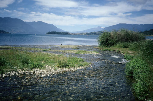 4907 hr RTW 6-7 Feb 1991 Licanray  Panguipulli Chile