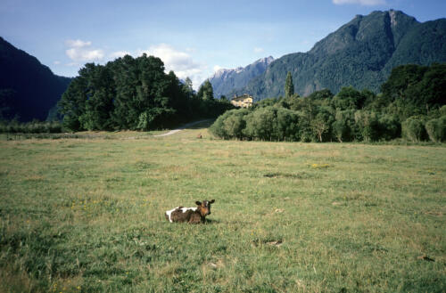 4941 hr RTW 10-11 Feb 1991 Bariloche Arg to Pto Montt Chile