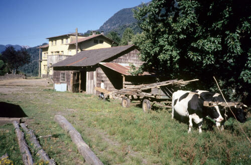 4944 hr RTW 10-11 Feb 1991 Bariloche Arg to Pto Montt Chile