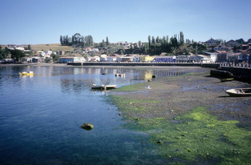 4956 hr RTW 12-14 Feb 1991 Isla Chiloe Chile