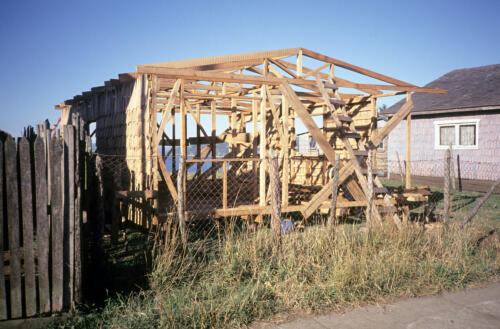 4957 hr RTW 12-14 Feb 1991 Isla Chiloe Chile