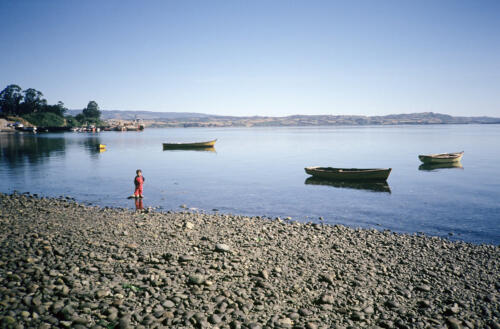 4959 hr RTW 12-14 Feb 1991 Isla Chiloe Chile