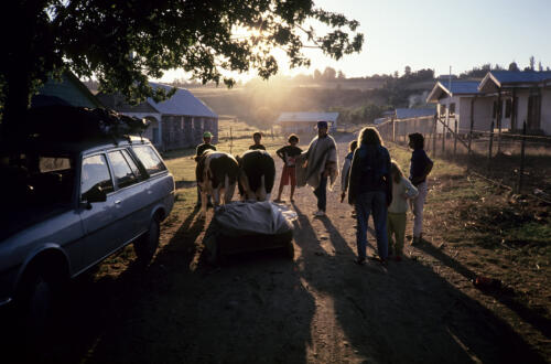 4964 hr RTW 12-14 Feb 1991 Isla Chiloe Chile