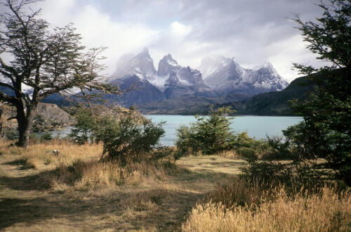 4989 hr RTW 20 Feb 1991 Torres del Paine Chile