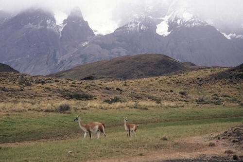 4995 hr RTW 20 Feb 1991 Torres del Paine Chile