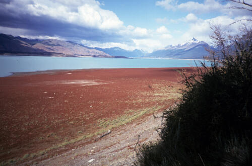 4996 hr RTW 22 Feb 1991 Glac Perito Moreno Arg
