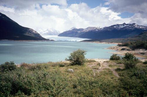 4997 hr RTW 22 Feb 1991 Glac Perito Moreno Arg