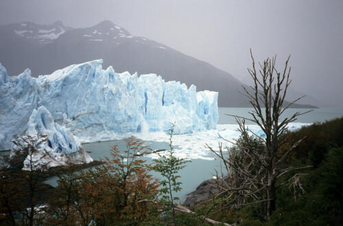 5006 hr RTW 22 Feb 1991 Glac Perito Moreno Arg