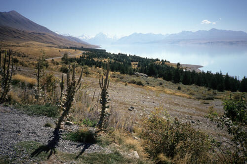 5055 hr RTW 10 Mar 1991 to Queenstown via Mt Cook NZ