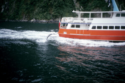 5124 hr RTW 13-14 Mar 1991 Milford Sound NZ