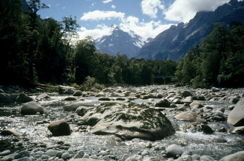 5135 hr RTW 13-14 Mar 1991 Milford Sound NZ