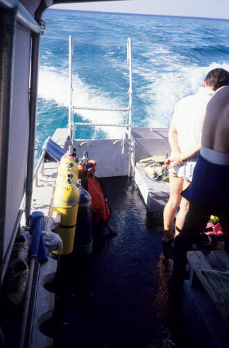 5257 hr RTW 17-19 Apr 1991 Perth and Rottnest Island Australia
