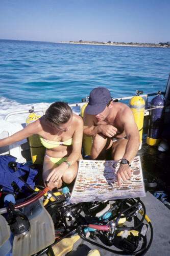 5259 hr RTW 17-19 Apr 1991 Perth and Rottnest Island Australia