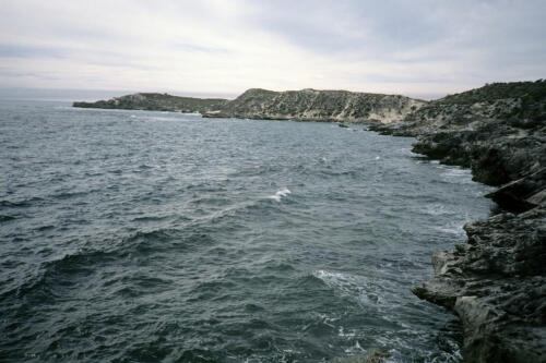 5260 hr RTW 17-19 Apr 1991 Perth and Rottnest Island Australia