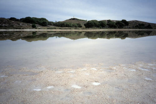 5265 hr RTW 17-19 Apr 1991 Perth and Rottnest Island Australia