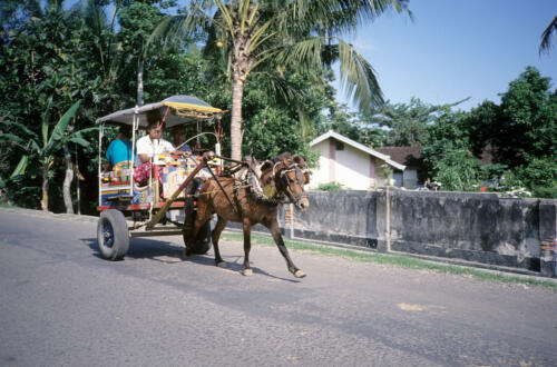 5297 hr RTW 25 Apr - 1 May 1991 Lombok Indonesia