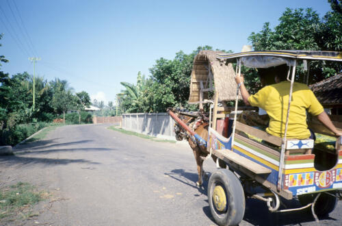 5298 hr RTW 25 Apr - 1 May 1991 Lombok Indonesia