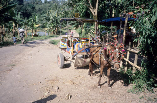 5299 hr RTW 25 Apr - 1 May 1991 Lombok Indonesia