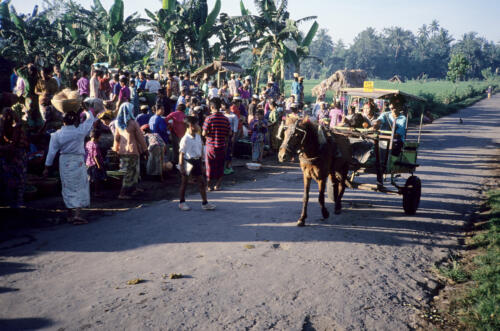 5310 hr RTW 25 Apr - 1 May 1991 Lombok Indonesia