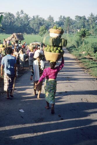 5312 hr RTW 25 Apr - 1 May 1991 Lombok Indonesia