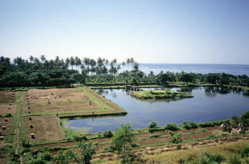 5333 hr RTW 8-10 May 1991 Bali Indonesia