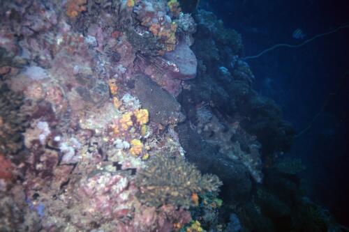 5391 hr RTW 31 May 1991 Phuket Thailand