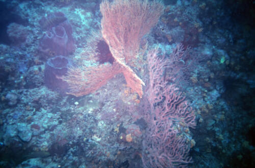 5405 hr RTW 31 May 1991 Phuket Thailand